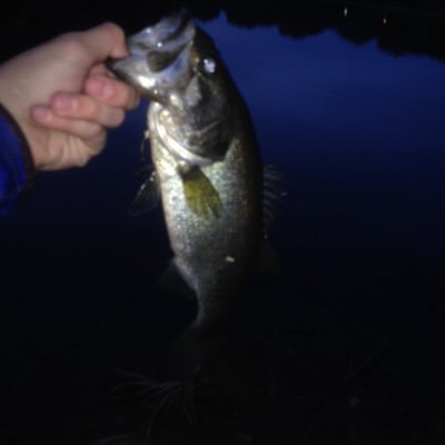 fishslayerFL's profile picture. 