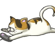 猫 (@nyanchan2013) / X