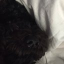 Colby Kramer - @colbykramez - Twitter