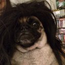 Casey - @CaseyRecord - Twitter