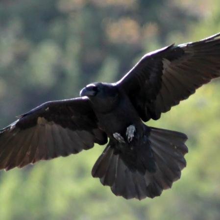 IrishRose8367's profile picture. 