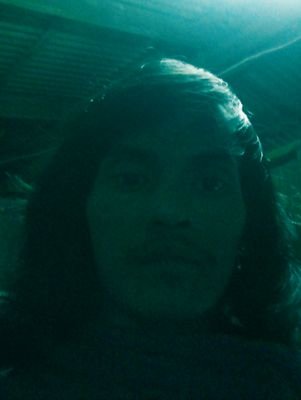 tuyyut3179111's profile picture. 