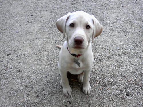 helioenrique's profile picture. 