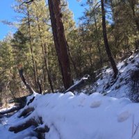 Mt. Lemmon Ski (@skithelemmon) 's Twitter Profile