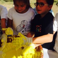 AB Bilim ve Eglence (@abbilimeglence) 's Twitter Profile Photo