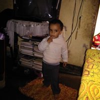 Pramod Gaur (@pramodg96881480) 's Twitter Profile