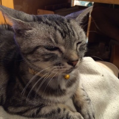 suntler's profile picture. 