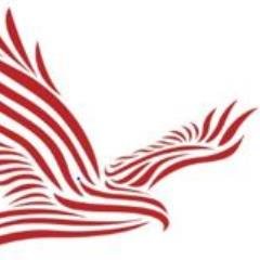 redkitealliance Profile Picture