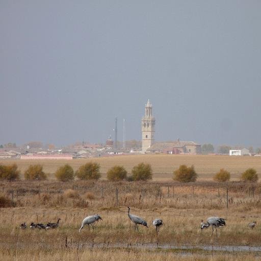 Humedal estepario recuperado en el año 1990 de gran valor natural e importancia para las aves.