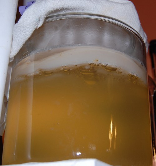 Every drink of kombucha sets us among the people of ancient civilizations, sharing their bread and stories, sipping their far-out fermented tea.