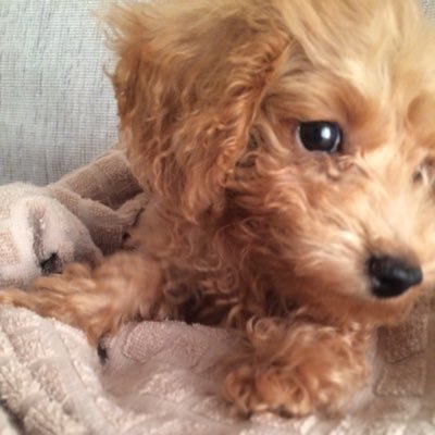 Jun Coco A Twitter 作詞 作曲大江千里だったんだ Rain 大江千里 秦基博https T Co E9q0pohdz1 Youtubeより Jun Coco A Twitter 作詞 作曲大江千里だったんだ Rain 大江千里 秦基博https T Co E9q0pohdz1 Youtubeより