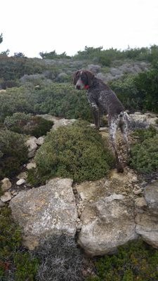 melaniti2's profile picture. 