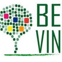 BEVINproject's profile picture. BEVIN project aims at promoting the recognizability of adults competences acquired through non-formal and informal learning.