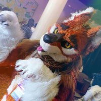 Crowvy ✈️ Furrymosa (@crowwingwolf) 's Twitter Profile