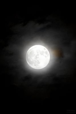 UmaNor17's profile picture. ...