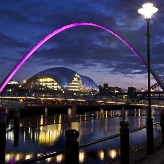 NorthBusinesses's profile picture. We follow back