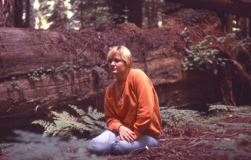 donnie123coxnet's profile picture. love to write...wrote three western romance, no sell....write for fan fiction site, get good reviews