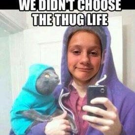 Ikbensam_X's profile picture. hoi✌️