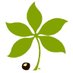 OH Woodland Stewards (@osue_ows) Twitter profile photo OH Woodland Stewards (@osue_ows) Twitter profile photo