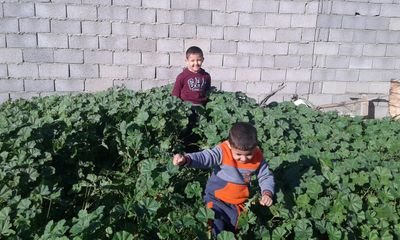 yaseenapolifa's profile picture. 