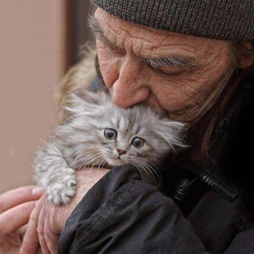 ncp_gulcay's profile picture. 