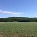 Agriculture Services Greenview (@greenviewag) Twitter profile photo Agriculture Services Greenview (@greenviewag) Twitter profile photo
