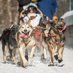 ADN Iditarod (@adniditarod) Twitter profile photo ADN Iditarod (@adniditarod) Twitter profile photo