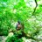sayaka_may_K