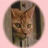 MRF_Minorin's profile image