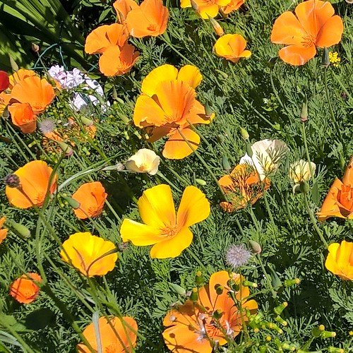 Maija70Maija's profile picture. 