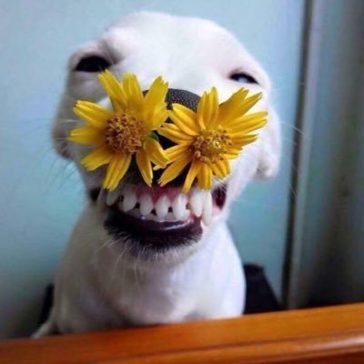 internetaddict0's profile picture. lol