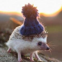 Fluttershykasex's profile picture. 