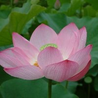 三木学 (@culturepot) 's Twitter Profile
