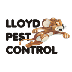 For more than 80 years, family-owned
Lloyd Pest Control has provided homes & businesses with award-winning protection against a variety of pests.