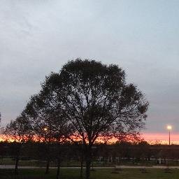 Adiamondcasting's profile picture. 