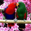 02hakanhakan02 (@02hakanhakan002) Twitter