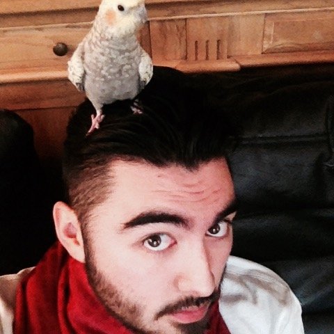 AxelCompte's profile picture. j'aime bien les chiens.