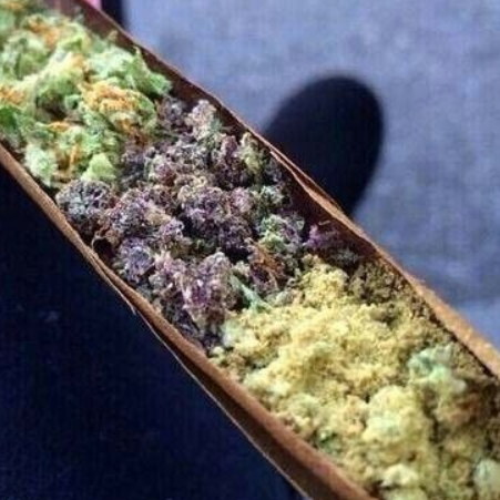 Compassion2u's profile picture. Compassionate advocate for medical marijuana. NORML member since 1975