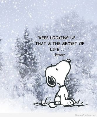 helendunn559's profile picture. Helen Dunn retired social worker still interested in Family Support,Early Help,Children's Disability, YMCA,NIACRO,Prison Fellowship, Glenside Farm CIC