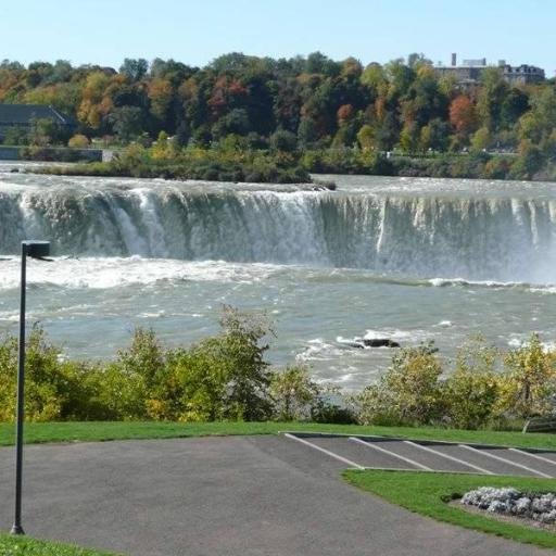 paprobash's profile picture. 