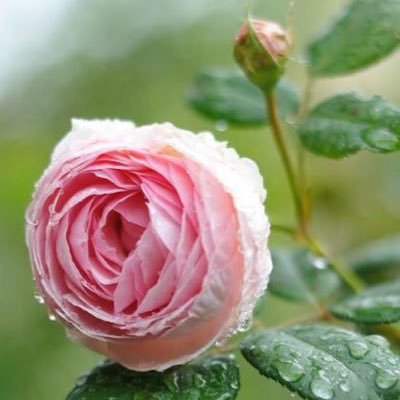 fastmail2016's profile picture. sem Bio.