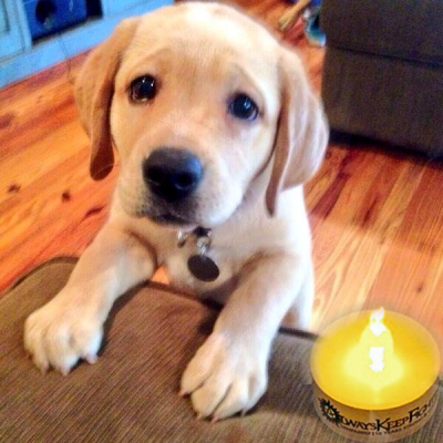 MicaOShea's profile picture. 