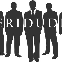 peridudes Profile Picture