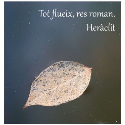 1454mvarela's profile picture. 