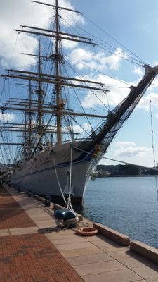 dothack_versus's profile picture. ああああ