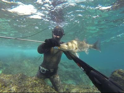 Su altı,zıpkınla balık avı,doğa sporları,outdoor,kamp malzemeleri,scuba diving,yat malzemeleri,yelken,hobi adına tüm ihtiyaclariniz için hizmetinizdeyiz
