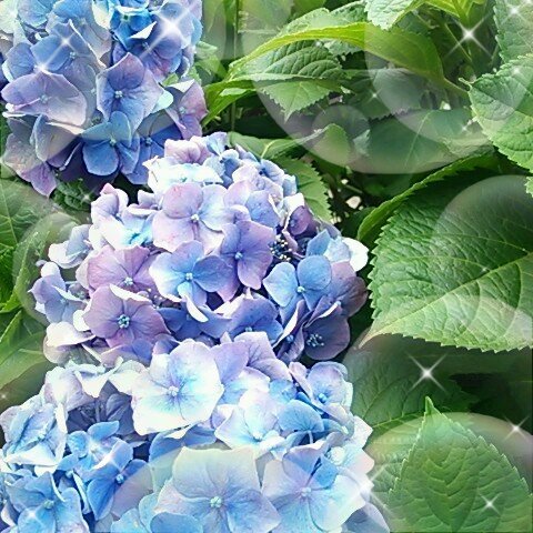 りおさんのプロフィール画像