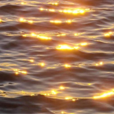 sab7awd5oon's profile picture. 