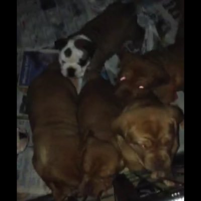 harrylane13's profile picture. 