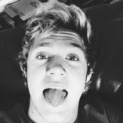 NiallerClover Profile Picture